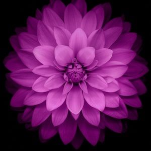 Meet your Posher, Kristina